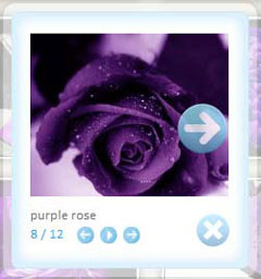 dhtml window popup with transparent Javascript Thumbnails
