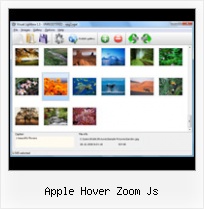 Apple Hover Zoom Js popup control in php