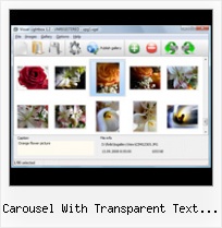 Carousel With Transparent Text Overlay javascript modal pop up image