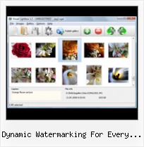 Dynamic Watermarking For Every Viewer html displaying popup in the center