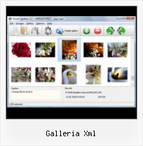 Galleria Xml click javascript pop up kodu