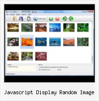 Javascript Display Random Image javascript on popup windows