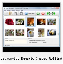 Javascript Dynamic Images Rolling pop up menu dhtml