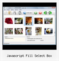 Javascript Fill Select Box modal popup window and images