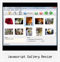 Javascript Gallery Resize html popup java script controll menu