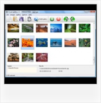 Javascript Image Vertical Scroller javascript on mouse pop up window