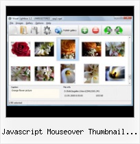 Javascript Mouseover Thumbnail Viewer javascript open window opacity