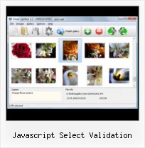 Javascript Select Validation javascript modal image