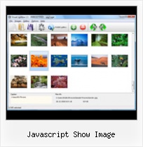 Javascript Show Image open popup with parameters in javascript