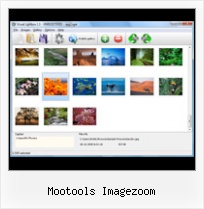 Mootools Imagezoom javascript open popup sized window
