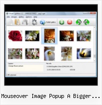 Mouseover Image Popup A Bigger Image dhtml modal window samples