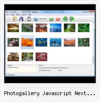 Photogallery Javascript Next Button Captions Previous script close pop up