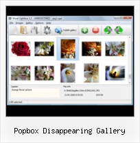Popbox Disappearing Gallery popup dialog menu javascript