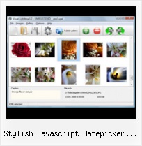 Stylish Javascript Datepicker Example open new window popup