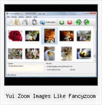 Yui Zoom Images Like Fancyzoom javascript open modal parameter