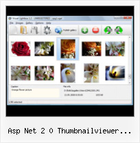 Asp Net 2 0 Thumbnailviewer Example popupboxes