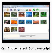 Can T Hide Select Box Javascript pop up modal ajax