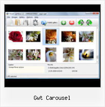 Gwt Carousel on mouse over pop up box