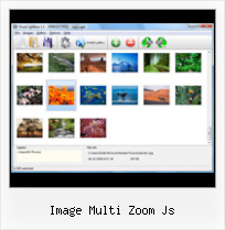 Image Multi Zoom Js ajax popup help sample