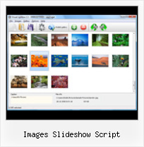 Images Slideshow Script javascripts pop up window
