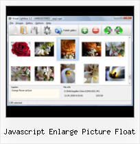 Javascript Enlarge Picture Float popup dialog in html page