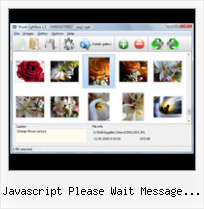 Javascript Please Wait Message Boxes Asp dhtml popup widget